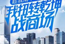 张小凡吴昕是哪本书的主角？趁我南下夺我房产？我扭转乾坤战商场免费读-贝壳文学