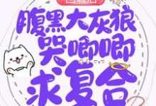 颜婳江慕廷的完整故事在哪里？读回城后，腹黑大灰狼哭唧唧求复合小说-贝壳文学