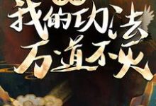 修仙：我的功法万道不灭章节免费在线阅读，无道完结版-贝壳文学