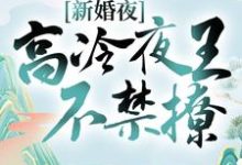 新婚夜，高冷夜王不禁撩 慕夕芷秦北夜小说大结局免费试读-贝壳文学
