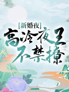 新婚夜，高冷夜王不禁撩 慕夕芷秦北夜小说大结局免费试读