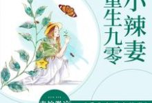 重生九零小辣妻小说的无弹窗阅读体验,寻找免费阅读网站-贝壳文学