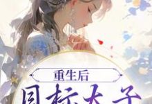 重生后,目标太子,攻略成功陈淮肃宋晚茵,重生后,目标太子,攻略成功最新章节-贝壳文学