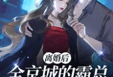 离婚后全京城的霸总都在追求我裴璟琛沈希宁小说在线章节免费阅读-贝壳文学