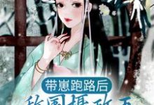 带崽跑路后,敌国摄政王满城通缉我小说全文阅读需要付费吗?寻找免费资源-贝壳文学