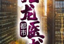 寻找都市：九龙医书小说的最新更新章节-贝壳文学