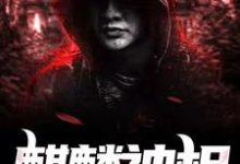 麒麟神相小说无弹窗阅读的网站推荐-贝壳文学