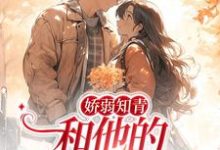 娇弱知青和他的霸王花媳妇小说，娇弱知青和他的霸王花媳妇最新章节-贝壳文学