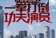 开局参加综艺，一拳打倒功夫演员免费阅读，开局参加综艺，一拳打倒功夫演员章节目录-贝壳文学