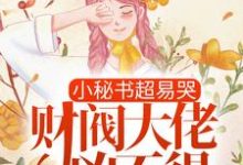 主人公叫 顾吟裴枭的小说哪里免费看-贝壳文学