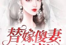 替嫁傻妻是大佬最新章节,替嫁傻妻是大佬免费阅读-贝壳文学