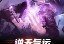 逆天气运：惹不起，躲得起小说有没有完整的免费版本在线阅读？-贝壳文学