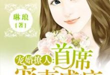 主人公叫沈小宛御泽野初夏的小说哪里免费看-贝壳文学