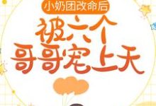 免费看小奶团改命后，被六个哥哥宠上天小说的网站有哪些？-贝壳文学