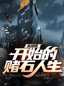 《从地摊开始的赌石人生》全集免费在线阅读（王屿杜远）