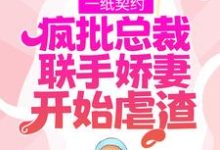 一纸契约：疯批总裁联手娇妻开始虐渣免费阅读，一纸契约：疯批总裁联手娇妻开始虐渣章节目录-贝壳文学