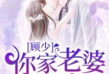 顾少，你家老婆又拆家了小说完结了吗？在哪里可以免费读到？-贝壳文学