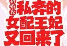 寻找能够免费阅读新婚夜，私奔的女配王妃又回来了小说的平台-贝壳文学