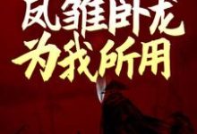 刘琦蔡琰 貂蝉小说《三国：开局娶妻，凤雏卧龙为我所用》在线阅读-贝壳文学