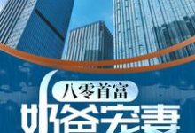 八零首富：奶爸宠妻带娃记周晓治艾雨蓝小说在线章节目录阅读最新章节-贝壳文学