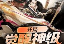 开局觉醒神级辅助系统章节免费在线阅读，苏哲楚柔完结版-贝壳文学