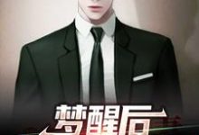 免费阅读萧成阳蒋芸汐为主角的小说，梦醒后，我一夜暴富了在线看-贝壳文学