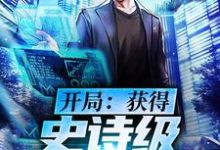 萧辰林木木的小说在哪里看?免费在线阅读开局:获得史诗级大礼包-贝壳文学