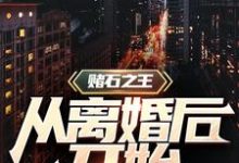 求沈复小说免费资源-贝壳文学