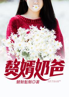 求赘婿奶爸小说免费资源