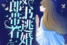 宋丛温苏烟为主角的小说好看吗?免费读新婚夜,新郎带着婚书逃婚了?-贝壳文学