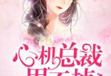 求重生名门：心机总裁甩不掉小说的全文免费阅读链接-贝壳文学