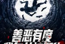 善恶有度,我向女神复仇小说最新更新在哪里?免费在线看-贝壳文学