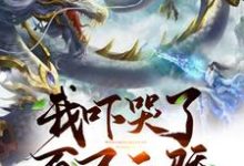男女主人公庄枫凌小皓刘天成小说我吓哭了百万天骄章节免费阅读-贝壳文学
