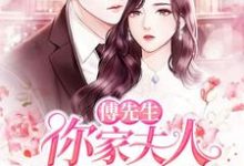 完结版《傅先生，你家夫人吊打全世界了》章节目录在线阅读-贝壳文学