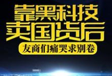 靠黑科技卖国货后，友商们痛哭求别卷这本小说在哪里可以看？哪里有免费试读章节？-贝壳文学