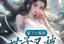 免费在线阅读娶了小冤家：世子又被夫人欺负了小说的正规网站有哪些？-贝壳文学