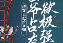 清穿贵妃娇又媚!四爷占有欲极强小说最新更新在哪里?免费在线看-贝壳文学