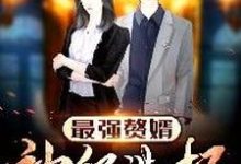 最强赘婿：神级选择小说最新章节在哪里可以读到？-贝壳文学