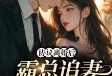 《协议离婚后，霸总追妻火葬场》小说章节列表免费试读，姜见星周丞小说在线阅读-贝壳文学