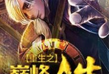 重生之巅峰人生小说，重生之巅峰人生免费阅读-贝壳文学