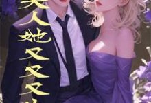 男女主人公陆韵怡冷夜擎小说二爷，夫人她又又又生气了章节免费阅读-贝壳文学