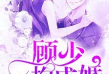 《顾少一抱成婚》全集免费在线阅读（苏颜顾斯臣顾斯妄）-贝壳文学