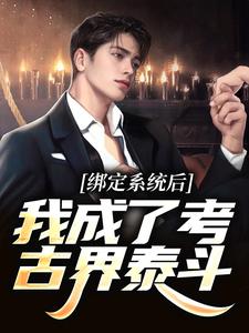 男女主人公叫张起的小说免费资源