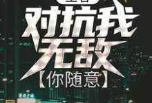 林羽小说在哪里可以看-贝壳文学