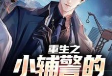 小说《重生之小辅警的逆袭路》在线章节阅读-贝壳文学