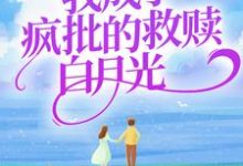 主角苏沅兮容晏小说完结版在线阅读，我成了疯批的救赎白月光免费看-贝壳文学