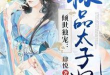 小说《倾世独宠：极品太子妃》在线章节阅读-贝壳文学
