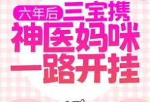 完结版《六年后，三宝携神医妈咪一路开挂》章节目录在线阅读-贝壳文学