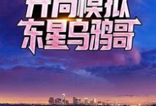 反派影帝：开局模拟东星乌鸦哥小说的无弹窗阅读体验，寻找免费阅读网站-贝壳文学