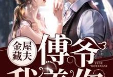 简汐傅行舟的故事在哪本书里？免费阅读金屋藏夫：傅爷，我养你-贝壳文学